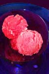 Blood Orange Sorbet recipe
