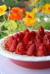 Pies and Tarts