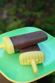 Fudgesicles Two Ways ice cream bar recipe.