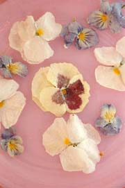 How to make Sugared Flowers recipe. By Beyond Wonderful Baking Expert, Catherine Christensen.