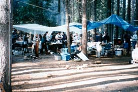 Foragers camp.