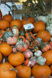 Beyond Wonderful Produce Expert, Dan Avakian presents fall pumpkins and decorative squash.