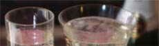 Champagne and Sparkling Wine by Michael DeLoach, Beyond Wonderful Wine Expert.