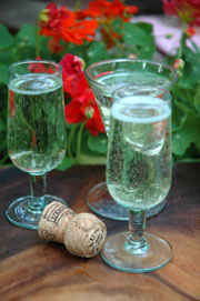 Lighter sparkling wines add zip to any warm occassion.