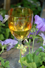 Read about Beyond Wonderful Wine Expert, Michael DeLoach.