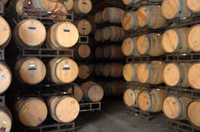 Chardonnay and pinot becoming real wine.