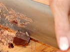 How To Chop Chocolate for Melting. Learn to bake. 