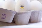 Basic how to cooking techniques&mdash;Good Egg&mdash;Bad Egg: How to Spot a Stinker 