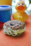 Oatmeal Rum Yum Raisin Ice Cream Sandwiches recipe.