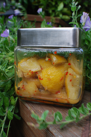 Nanaji's Sun-Cooked Lemon Pickle Indian recipe.